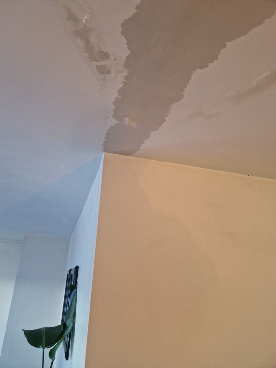 Grote vochtvlek op een plafond bij een hoek
