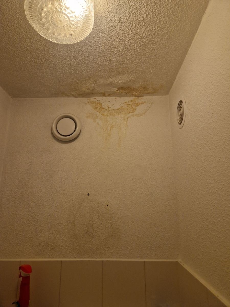 Gele vochtvlekken op het plafond van een toilet