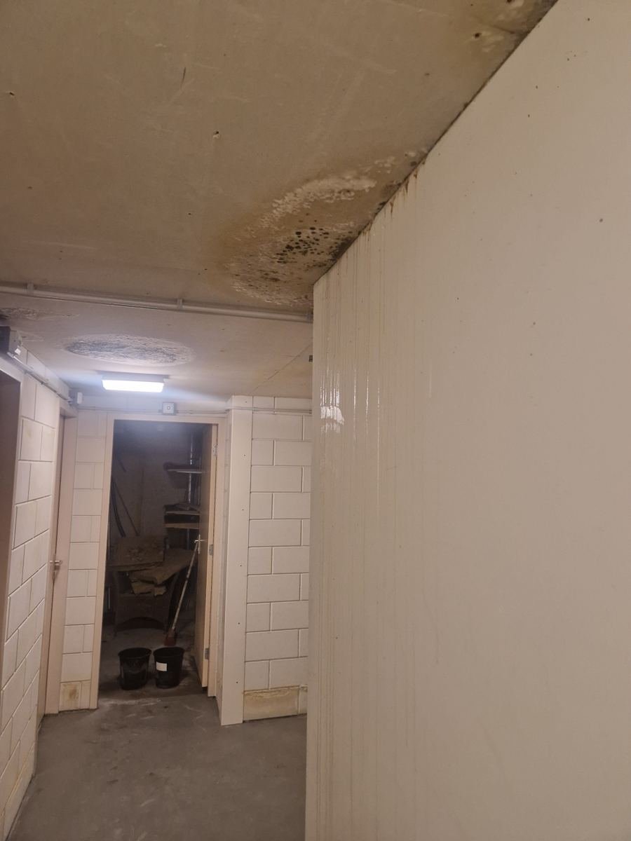 Vochtplekken en schimmelvorming op een plafond in een gang