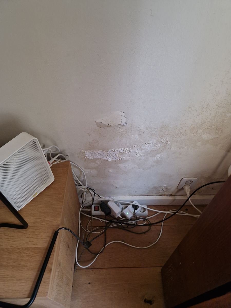 Vochtschade onderaan een muur boven de plint